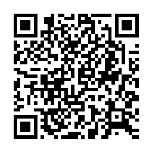 更主要是看见这辆豪华越野车跟巴克两人气定神闲下来的气派二维码生成