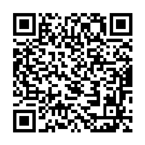 更主要的是在各方面的政策上来吸引对方接受我们的建议二维码生成