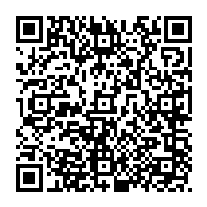 更主要的是谭学强那个时候压根儿就没有表现出对自己个地委书记秘书的一点关注二维码生成