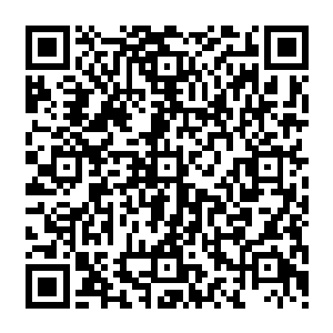 更也许是看到林晓夕那么水灵的姑娘被人给背着再想到自己是一个单身狗而心里不平衡二维码生成
