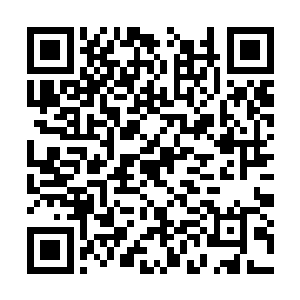 更令不少以全息投影方式参加会议的股东和投资者二维码生成