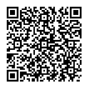 更何况两个人之间有着恐怖的攻击阻挡着龙傲天就算是想要阻止对方也是做不到了二维码生成