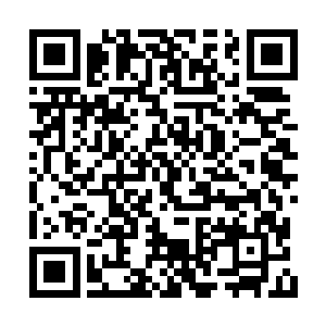 更何况他们背后还有西海龙神宫这样的顶尖势力二维码生成