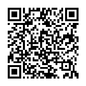 更何况他还有大量拥有着超高智慧的异形人帮忙二维码生成