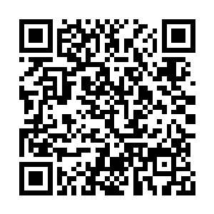 更何况你根本没见过真正的超体文明是什么样子二维码生成