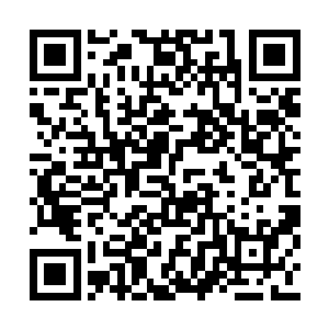 更何况像他们这种圣级大修士对于气机十分敏感二维码生成