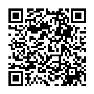 更何况刚才那河伯仙府还收取了数千缕生命之光二维码生成