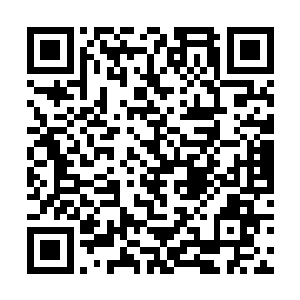 更何况原主的任务只是想找回她的人生和缺失的记忆二维码生成