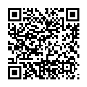 更何况原帝小大人还是首领和祭司大人共同的亲生血脉二维码生成