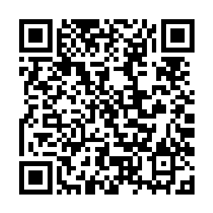 更何况女巫之王上来就异常跋扈地指明了自己的意图二维码生成