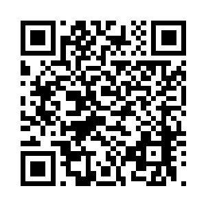 更何况小白和希望这两个家伙是什么二维码生成