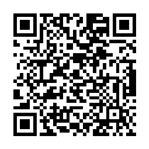 更何况指使珍宁公主刺杀清伊娜未免太说不通了一些二维码生成