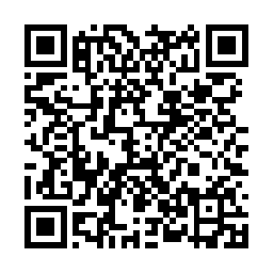 更何况是九头妖帅喷吐的普通仙级火焰的九元毒火二维码生成