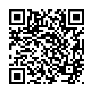 更何况是在这新弟子考验的比武场上二维码生成