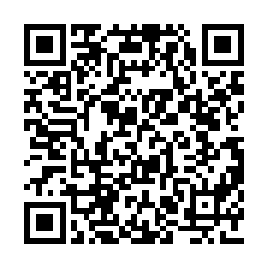 更何况是已经与小星星做了很长时间队友的他们二维码生成