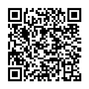 更何况是这种模拟真实程度高达百分之九十五以上的录像二维码生成