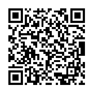 更何况是速度远不及光明神王的长阳和圣子殿下了二维码生成