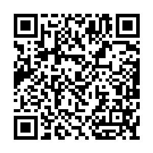 更何况最后还有着超出圣级的混沌兽和域外天魔二维码生成