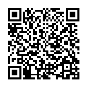 更何况李锐随时都能搞到灵气都能把人撑爆了的仙丹二维码生成