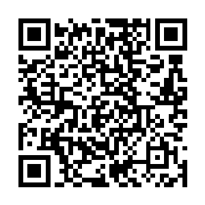 更何况现在才刚刚来到这个上古遗迹就有这等发现二维码生成