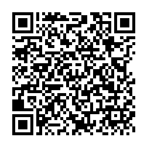 更何况自己的对手还是数千年前追着许德拉跑了大半个神州域的老对手二维码生成