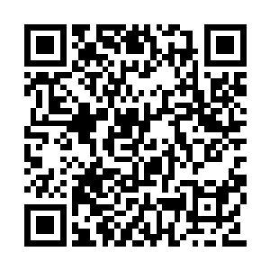 更何况苏落胆敢当面指着小世子骂他脑子有毛病二维码生成