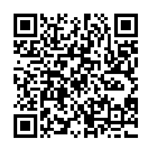 更何况萧冥眼前出现的还是和江逸此刻一模一样的虚影二维码生成