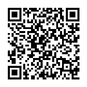 更何况资质绝佳之人未能晋升问道境的比比皆是二维码生成