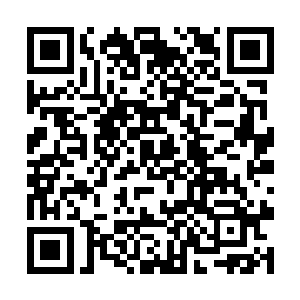更何况超神特战队还有那么多被改造出来的超级战士二维码生成