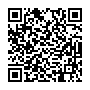 更何况这个人还从没有过综艺节目方面的成功先例二维码生成