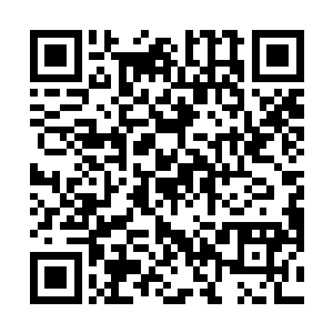 更何况这个戴笠帽的年轻人极有可能是魔族的皇室子弟二维码生成