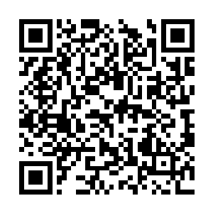 更何况这笔人参果不知道恐怖多少倍的玄黄造化果二维码生成