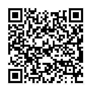 更何况这部戏可是获得了李谦和白玉京亲自站台的二维码生成