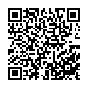 更何况那两道巨龙身上散发发出的波动可是实实在在二维码生成