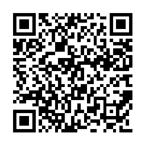 更何况那边两个人还是在夹击一个地尊后期巅峰二维码生成