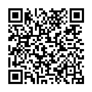 更何况那还是一只在上古时期也以凶残闻名的凶兽二维码生成