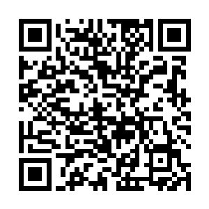 更何况陈天放如今在龙魂的身份只是情报组的编外成员二维码生成