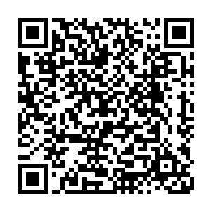 更何况龙傲天建立自己的门派其实最重要的一点还是为了更好的保护龙家二维码生成