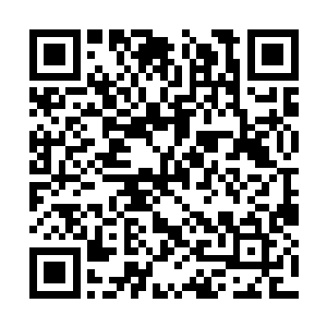 更何况龙野进来以后眼睛就没离开过他妹妹的房间二维码生成