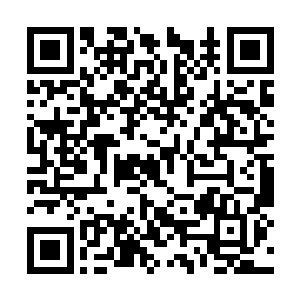 更像是自己先前在演武大厅看到的一个身影……NPC二维码生成