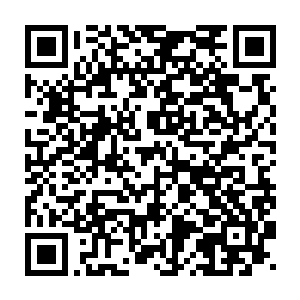 更别说是混元境的弟子们了……而且还是掌门师伯亲自坐镇仙城呢……二维码生成