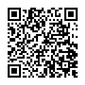 更别说有二十二个专业教官只为他们十二个人服务了二维码生成