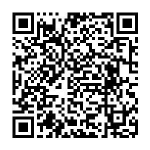 更别说秦方那张带着戏谑笑容的脸庞也是渐渐的出现在了它的面前了……二维码生成