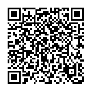 更别说貌似这个精神力的增加还让自己的感知与感官能力又提升了一个层次二维码生成