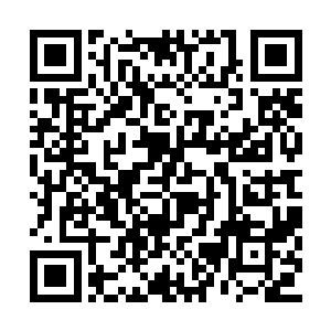更别说还有李瑞的老师李天权太上长老从中斡旋二维码生成