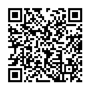 更别说这无极境是只不知修炼多少年的荒古神兽了二维码生成