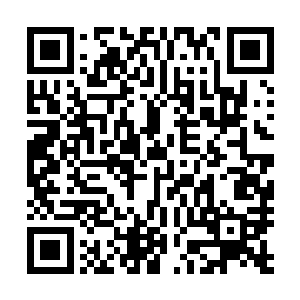 更别说这颗星球上的土著这里虽然没有体型庞大的高等生物二维码生成