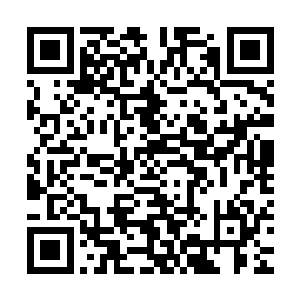 更别说连四爷连打发个人来接她也没有……林氏到底是呆不住了二维码生成