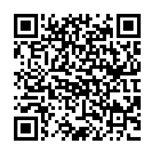 更加促使着前面的猛兽们一只只一头头一匹匹竭均能的加快速度二维码生成