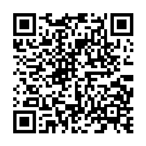 更加可以清楚地感觉到自己体内的情况……甚至是能量二维码生成